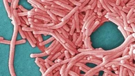 Legionnaires' disease alert for Sydney CBD