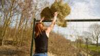 Horse owners facing hay shortages after dry summer