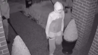 Family attacked in home by thieves with machete and gun