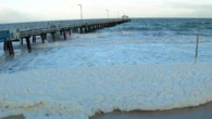Beaches to remain open for summer despite toxic algal bloom