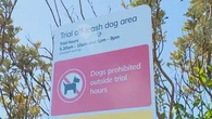Popular Sydney beach trials leash-free dog area
