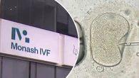 Fertility giant to keep review secret after two IVF bungles
