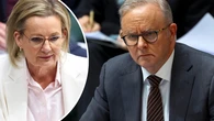 Sussan Ley wants apology from Anthony Albanese for wearing Joy Division T-shirt