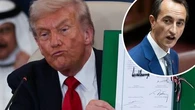 Trump the 'enforcer' secured peace deal because of one key detail: Sharma