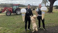 Sweet relief as police track down iconic stolen plastic ice cream cones