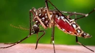 'Relentless' disease taking more and more lives on Australia's doorstep
