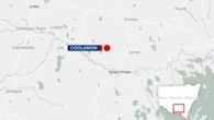 Elderly woman dies after being hit by ute in western NSW