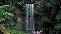 Search under way for two swimmers missing at Queensland waterfall