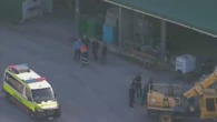 Queensland man killed in workplace accident involving forklift