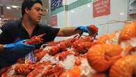 How will resumption of rock lobster exports to China affect prices in Australia