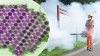 China brings in pandemic response after thousands get rare virus