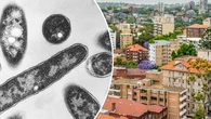 Health warnings after Legionnaires' outbreak in Sydney suburb