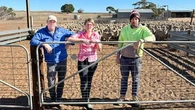'There's never been a drought like this': Farmers plead for help in South Australia