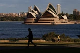 Sydney records first local COVID-19 case in more than a month