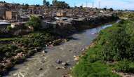 Dead fish in Jukskei River prompts urgent pollution investigation