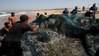 First shoals of sardines netted in KZN