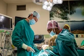 Over 800 surgeries done across Gauteng public hospitals in 12 hours