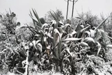 Eastern Cape inclement weather claims seven lives