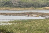Illegal gillnet fishing poses threat to iSimangaliso’s fragile lakes