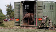 Kenya moves 50 elephants to larger reserve to ease overcrowding