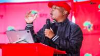 EFF to engage parties on coalition possibility: Malema