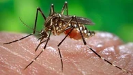 Health Dept urges travelers to be cautious amid slight malaria spike