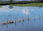 Farmers in Garden Route, Little Karoo counting losses due to floods