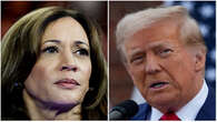 Trump vs Harris: How the US electorate splits ahead of Election Day