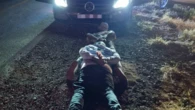 Officer wounded in shootout with suspected car thieves in Botlokwa