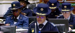 Fighting organised crime, gang violence is a priority: Dimpane