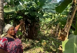 Rooted in resilience, SA’s food systems transformation must leave no one behind