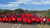 EFF to lead a ‘VAT victory march’ in Pretoria