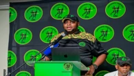 Shivambu successor should unite MK Party: Analyst