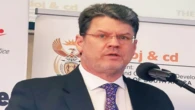 Escalating rate of children recruited into gangs worrying: Nel