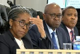 Afrika Mayibuye Movement calls for Madlanga Commission extension