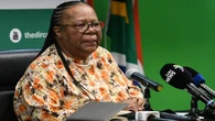 Pandor calls on insurance bodies to engage with global leaders