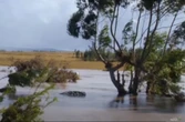 Hundreds displaced by floods in Butterworth receive emergency shelter