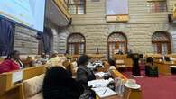 Maimane slams budget underspending in Parliament