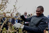 Mashatile urges farmers to negotiate with govt over land reform