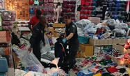 Limpopo police confiscate counterfeit goods worth millions