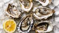 Knysna Oyster Festival in full swing