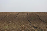 Millions of hectares returned to rightful owners: Nyontsho