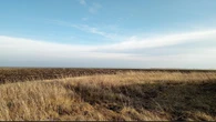 2 000 hectares of land handed over to KZN community