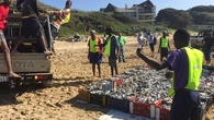 KZN bathers advised to check beach closure updates amid sardine run