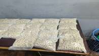 Suspect arrested, mandrax worth R2 million seized in East London