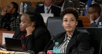 General Shibiri accused of interfering in Armand Swart murder case