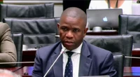 Mkhwanazi explains efforts to raise SAPS internal issues with Parly