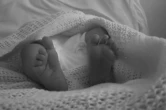 Families of babies stolen from Gqeberha hospital seek for answers