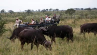 Talks of Kruger National Park name change sparks economic fears