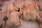 Poultry industry warns that US imports disadvantage local producers